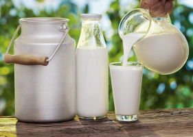 Top 4 Dòng sữa tươi nhập khẩu được ưa chuộng nhất tại Việt Nam