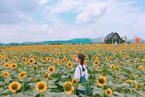 Top 6 Đia điểm chụp selfie đẹp nhất cho giới trẻ tại Bắc Giang