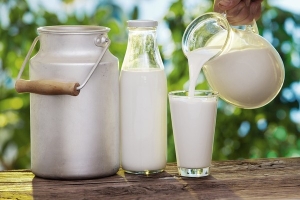 Top 9 Công dụng làm đẹp bằng sữa tươi không đường hiệu quả nhất